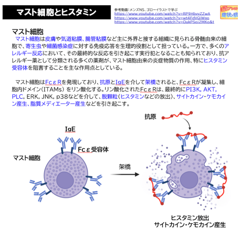 岡山大学】 2026年度入試 再現問題＋解答解説 医学部学士編入 | 医学部